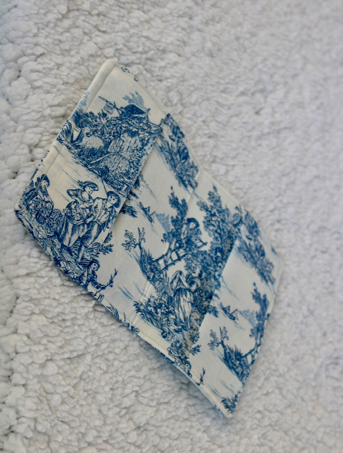 Alban le protège passeport